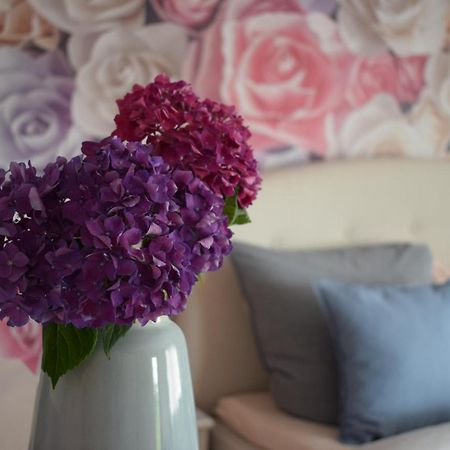 Apartment Rose 萨巴赫瓦登 外观 照片