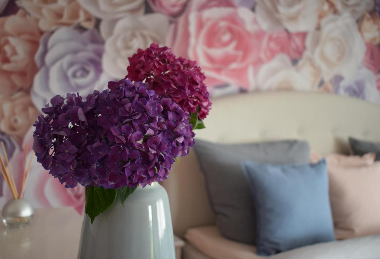 Apartment Rose 萨巴赫瓦登 外观 照片
